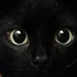 Meet your Posher, Dave